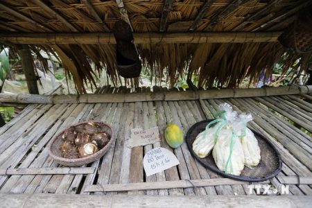 vna_potal_hoa_binh_ve_dep_thanh_binh_o_xom_du_lich_cong_dong_da_bia_6407284